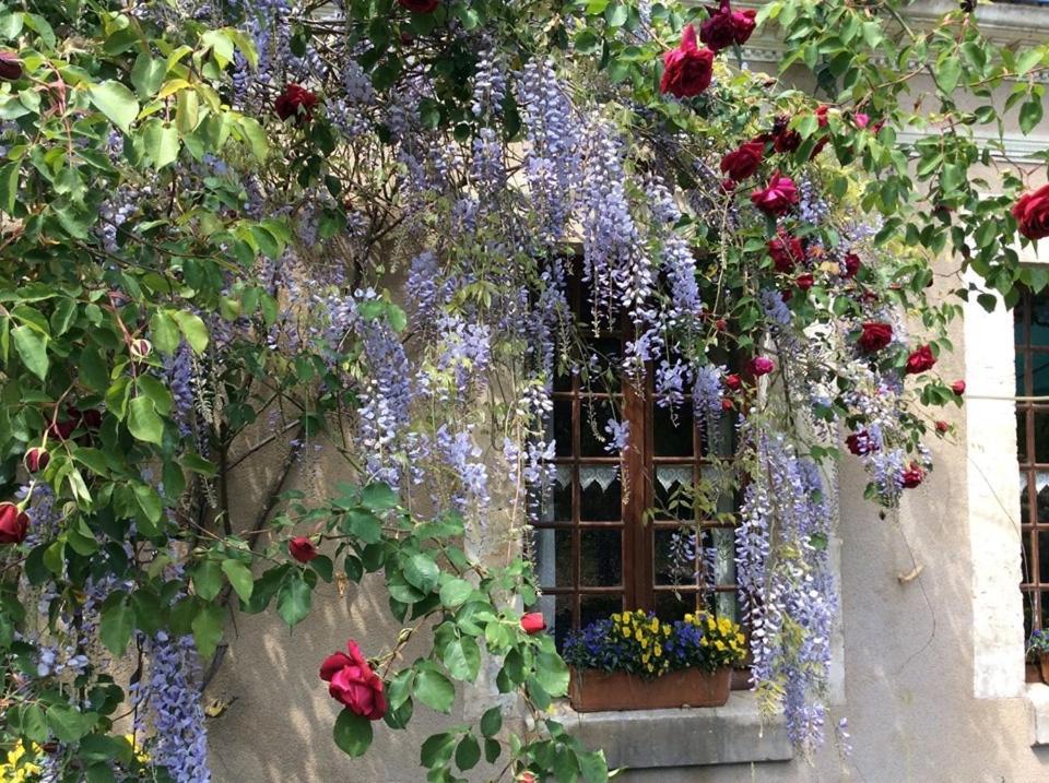 Coté Jardin Bed and Breakfast Villiers-sur-Loir Exterior foto